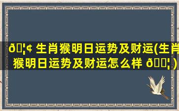 🦢 生肖猴明日运势及财运(生肖猴明日运势及财运怎么样 🐦 )